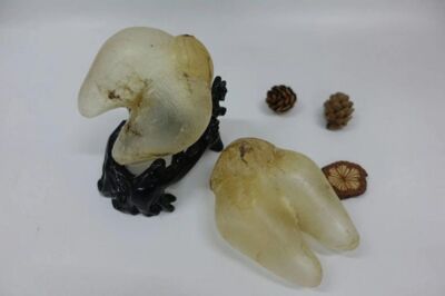 禅城回收鱼胶冬虫夏草燕窝海参 高价回收茅台酒洋酒红酒 相关图片