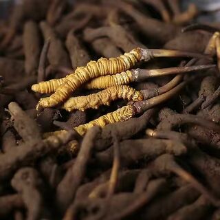 吕梁高价回收羊年生肖茅台空酒瓶 相关图片