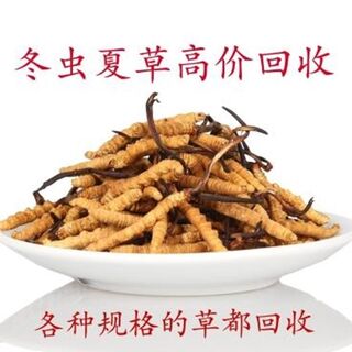韶关空瓶虎年茅台酒瓶全国收购茅台酒空瓶2024公告一览 相关图片