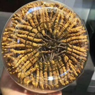 清远阳山专业名酒回收服务中心 免费鉴定评估 上门收购 茅台酒回收 相关图片